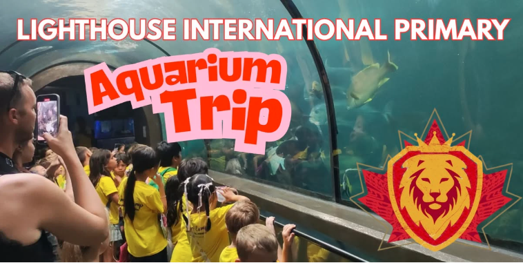 Lighthouse International Primary Featured Image for the Aquarium Trip