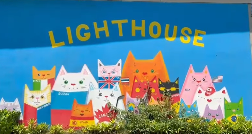 Lighthouse wall of cats with countries